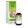 REVET H 20 Globuli f.Heimtiere