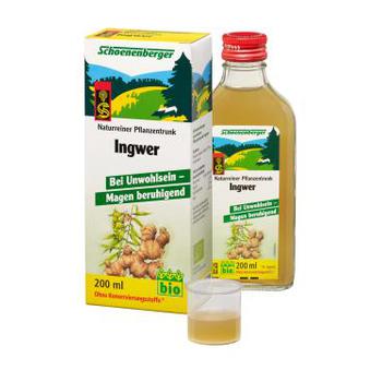 INGWER PFLANZENTRUNK Schoenenberger