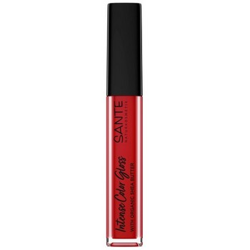 Sante Intense Color Gloss 06
